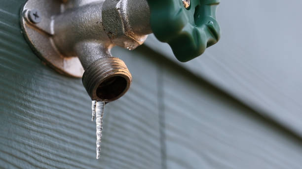 Best Affordable Plumbing Services  in Lakewood Park, FL